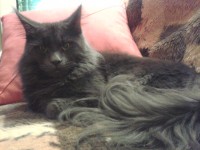 /album/fotogaleria-caspian-of-vesper-sk/a2012-10-04-20-38-39-jpg/